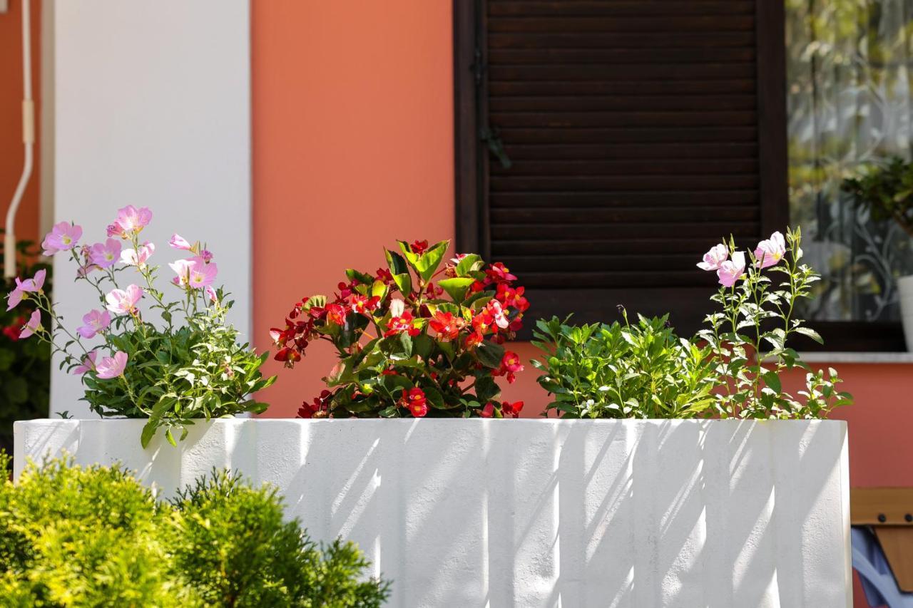 Villa Moras Paralia Katerinis Exterior photo